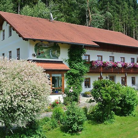 Haus Am Waldrand - Ferienwohnung Augustin Grafenau (Bavaria) Exterior foto