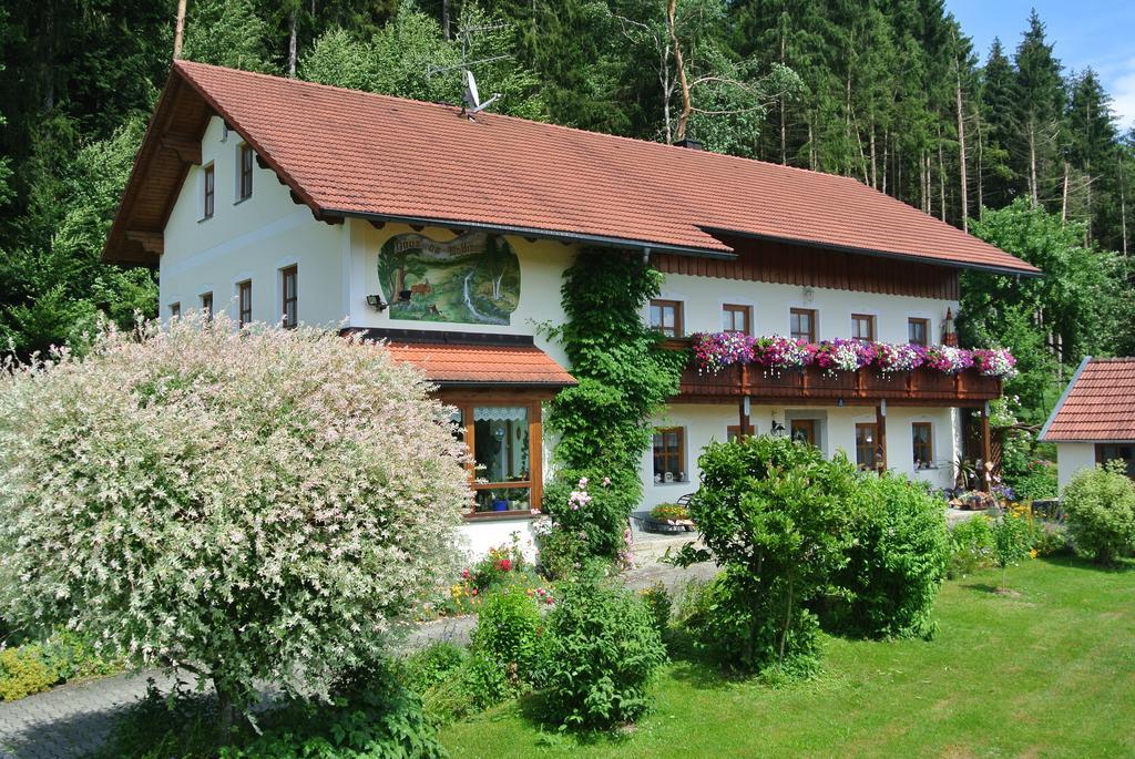 Haus Am Waldrand - Ferienwohnung Augustin Grafenau (Bavaria) Exterior foto