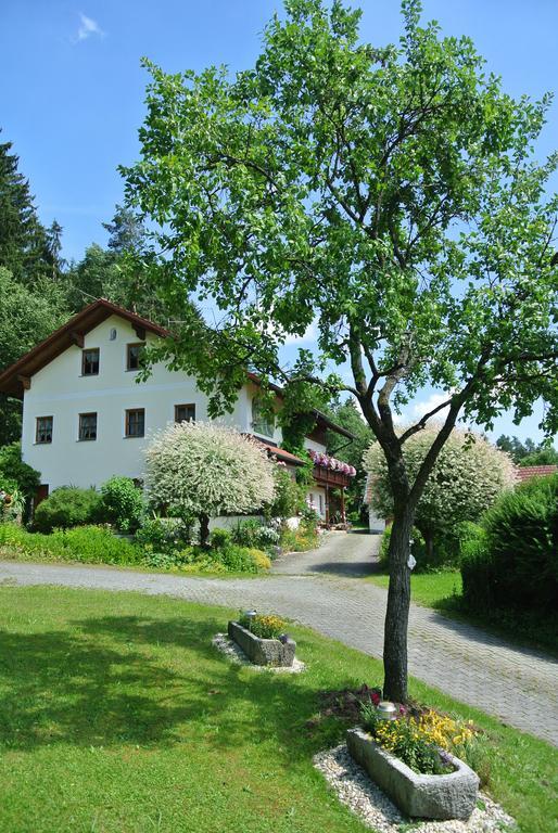 Haus Am Waldrand - Ferienwohnung Augustin Grafenau (Bavaria) Exterior foto