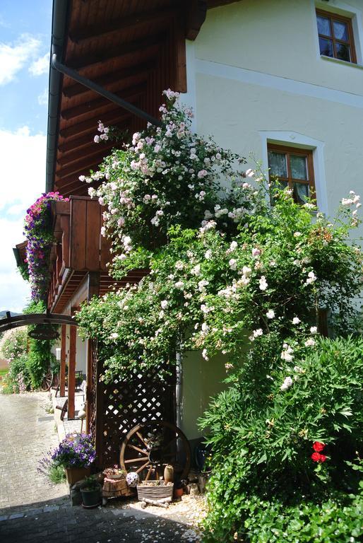 Haus Am Waldrand - Ferienwohnung Augustin Grafenau (Bavaria) Exterior foto
